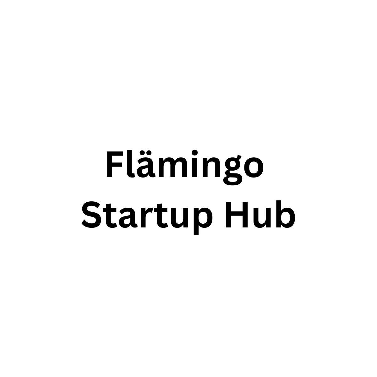 flaemingo-startuphub.com
